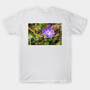 10116 purple T-Shirt